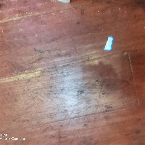 开运体育 可持续材料运动装备